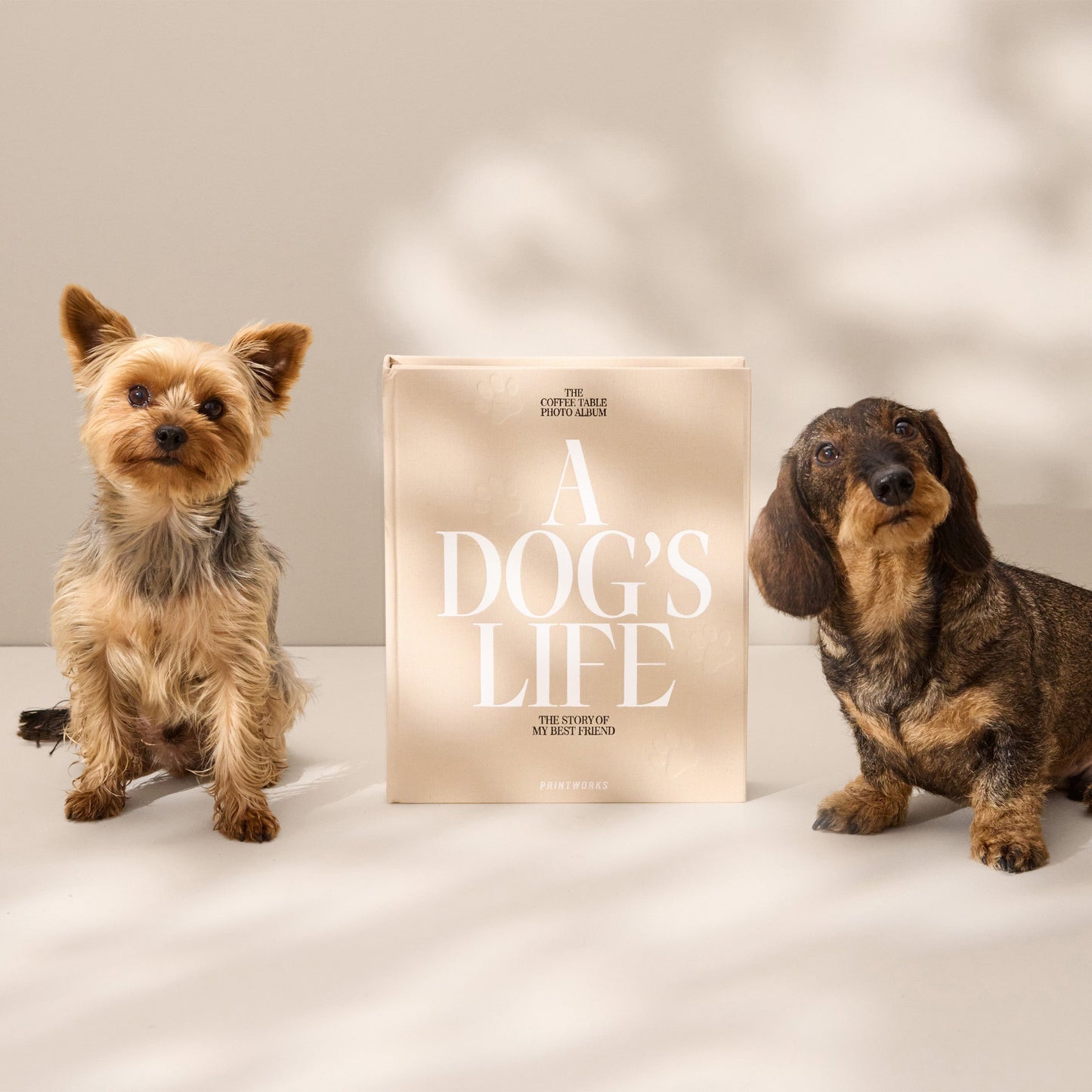A Dog's Life Photo Album